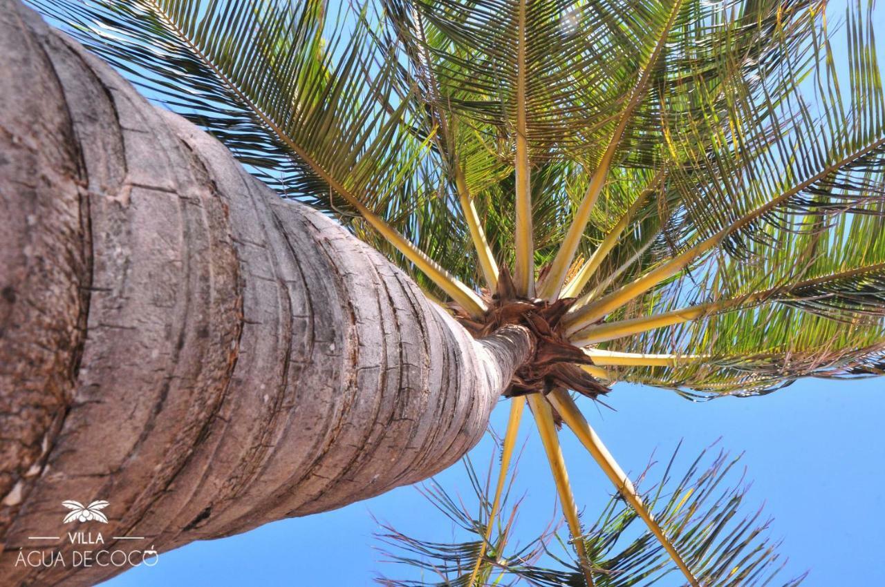 Villa Agua De Coco Jijoca de Jericoacoara Dış mekan fotoğraf